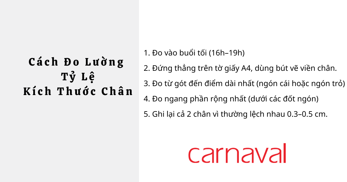 cách đo lường tỷ lệ kích thước chân