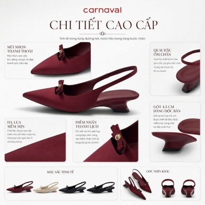 Giày Cao Gót Nữ Carnaval Mũi Nhọn Quai Hậu Da Lụa, Gót Cao 4.5cm Êm Chân Đi Làm Đi Tiệc - VS221 - ảnh 7